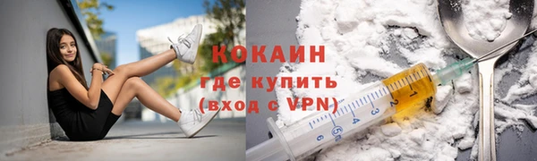 mdpv Каменногорск