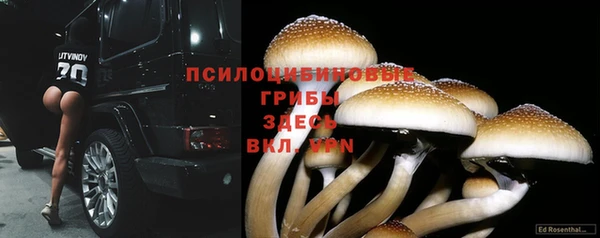 скорость Касимов