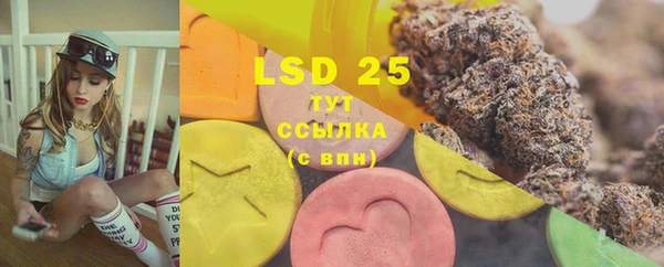 mdpv Каменногорск