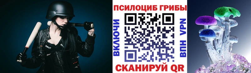 Галлюциногенные грибы Cubensis Купить где Знаменск